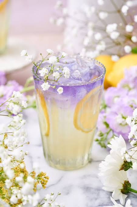 eldelfower-spritz-avantgard-rootop-bar