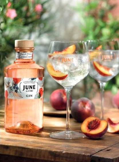 june-by-g-vine-peach-gin-liqueur-avantgard rooftop bar